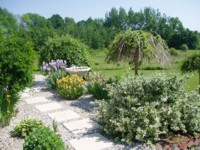 The backsteps at Downwind