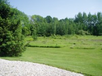 Part of our backyard
