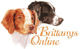 Brittanys Online, great resource for beginners and experts alike