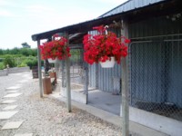 Sideview of our Kennels