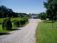 Laneway down to Downwind Kennels