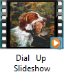 DIAL UP: Downwind Kennels Slideshow