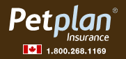 Pet Plan Insurance