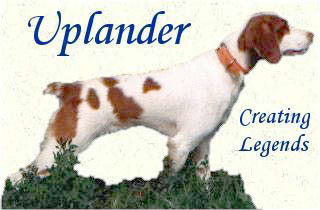 Our Recommended Trainer - Uplander Kennels